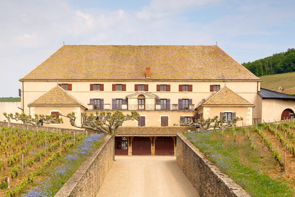 winery corton grancey