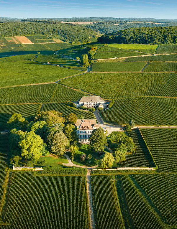 chateau and cuverie corton grancey