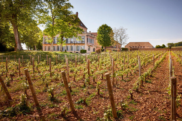 Louis Latour’s Multi Generational Wine Business Celebrates Burgundy