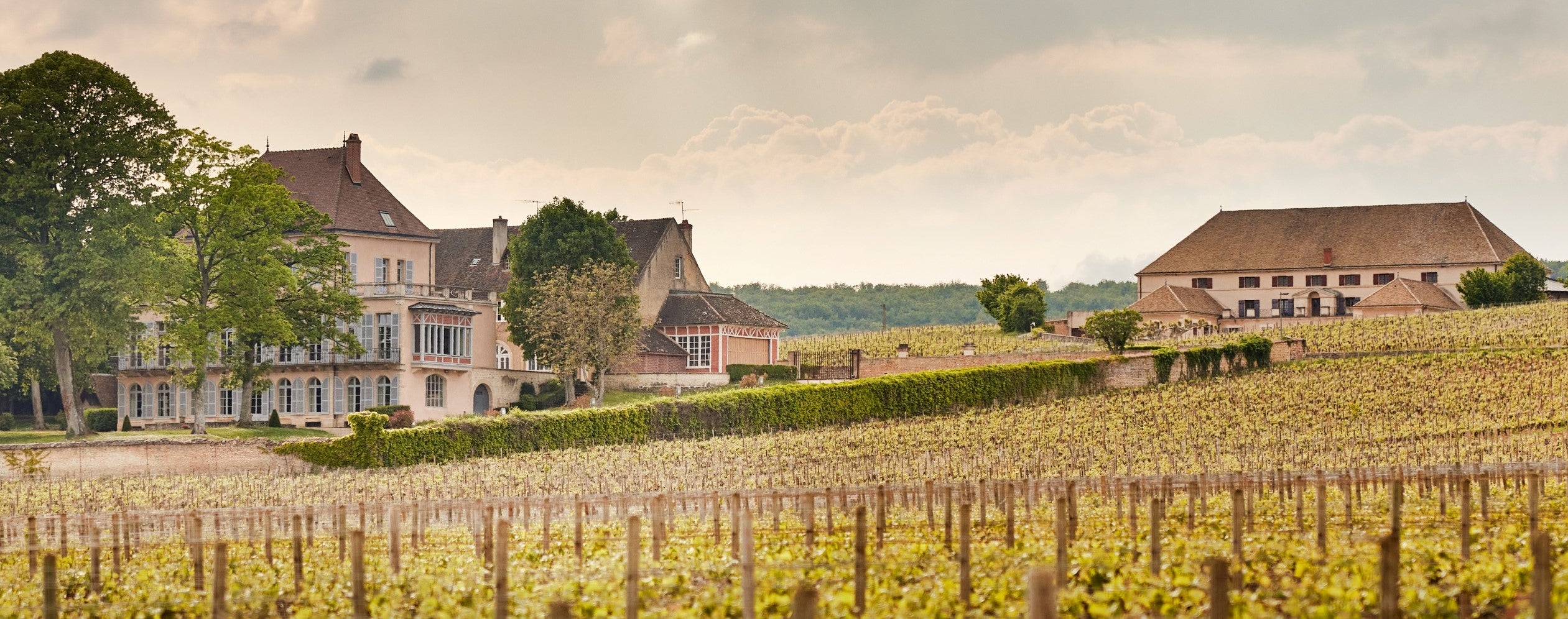 About Louis Latour – Louis Latour Inc