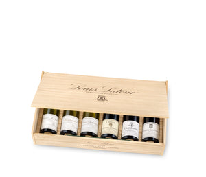 Ultime Six - Vintage 2020