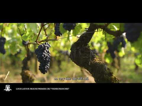 Beaune 1er Cru 